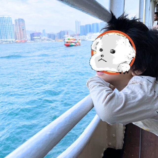 スターフェリーで香港島へ移動する子。