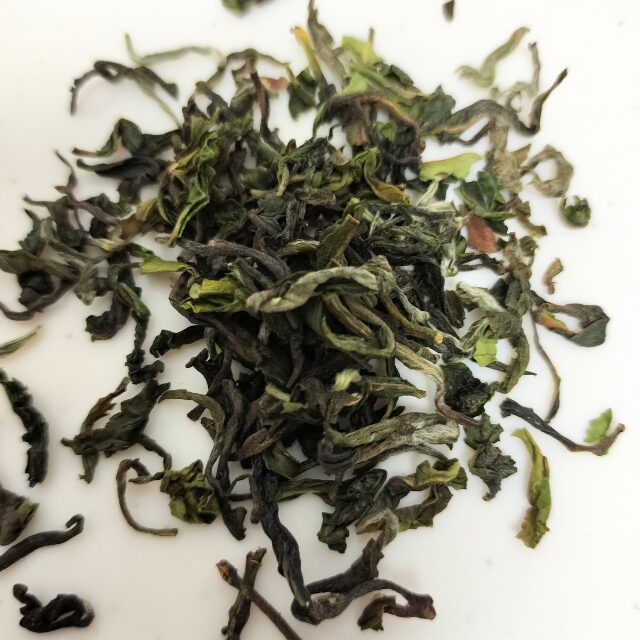 Spring Imperial　Darjeeling Black Tea First Flush 2024　Avongrove Tea Estate　茶葉