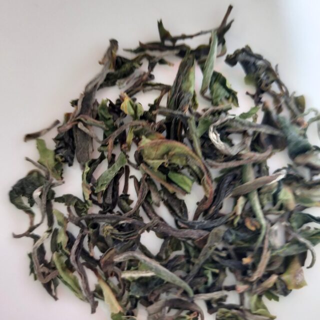 Ringtong Tea estate : Spring Opera Darjeeling Black Tea First Flush 2024　茶葉