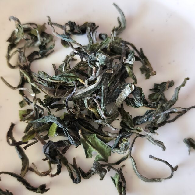 Glenburn Tea Estate:　Spring Moonshine Darjeeling Black Tea First Flush 2024　茶葉