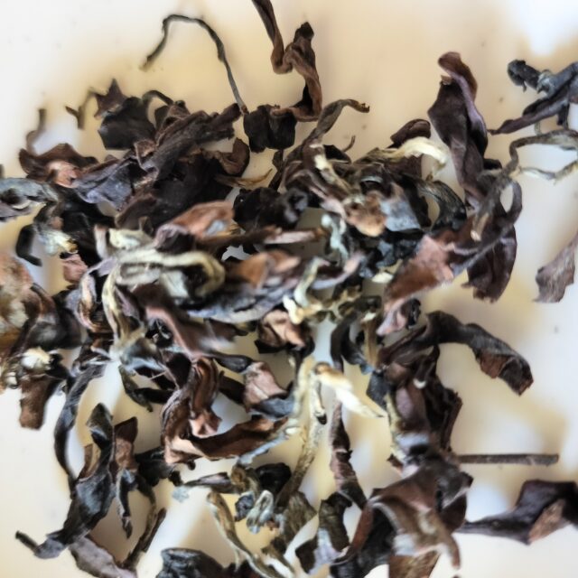 HOJOの東方美人　茶葉　ウンカに噛まれた芽を確認