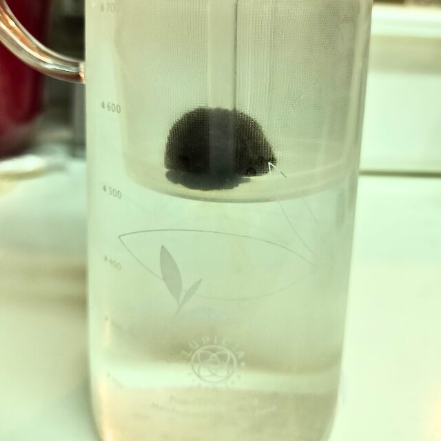 プーアール茶の水出しの様子