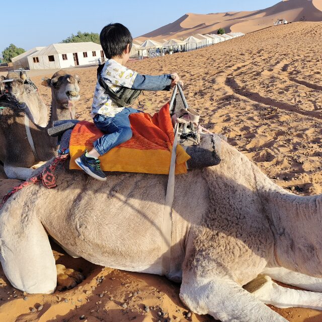 子連れ旅　砂漠でキャメルライド。５歳児でも乗れなくはない。　